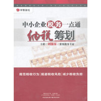 中小企业税务一点通纳税筹划(DVD)