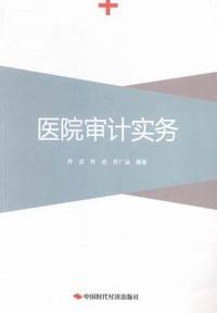 医院审计实务