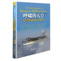 呼啸的天空-当代顶级战机发展史