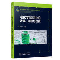 先进储能科学技术与工业应用丛书--电化学储能中的计算、建模与仿真