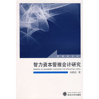 智力资本管理会计研究/管理学论丛