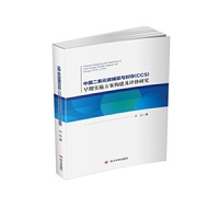 中国二氧化碳捕捉与封存（CCS）早期实施方案构建及评价研究