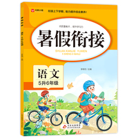 暑假衔接 语文 5升6年级 五年级暑假作业 语文基础知识要点 衔接上下学期 助力提升综合素养