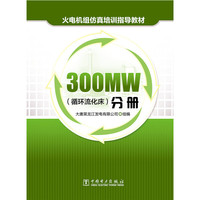 300MW(循环流化床)分册