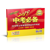 2019中考必备（山东专版）物理