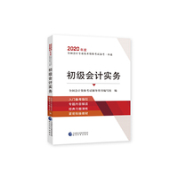 2020年度全国会计专业技术资格考试备考一本通 初级会计实务