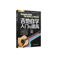 吉他自学入门与提高（DVD版）