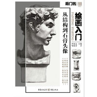 绘画入门——从结构到石膏头像