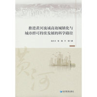 推进黄河流域高效城镇化与城市群可持续发展的科学路径