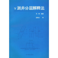 γ测井分层解释法