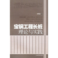 宝钢工程长桩理论与实践