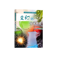 中华少年科普大视野丛书 变幻的化学天地