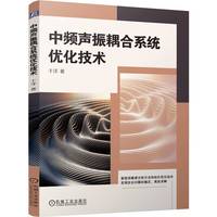 中频声振耦合系统优化技术   于洋