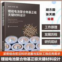 锂硫电池聚合物基正极关键材料设计（胡方圆）