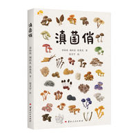 滇菌俏