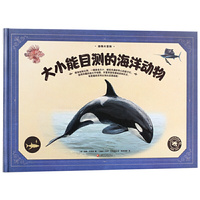 动物大百科·大小能目测的海洋动物