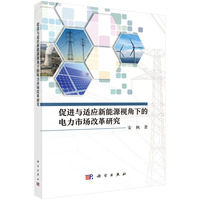 促进与适应新能源视角下的电力市场改革研究