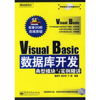 Visual Basic数据库开发典型模块与实例精讲