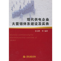 现代供电企业大营销体系建设及实务