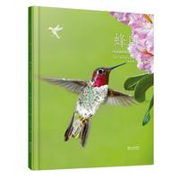 动物小百科：蜂鸟