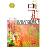 流星群(共2册)