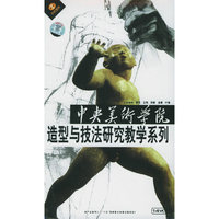 中央美术学院造型与技法研究教学系列(VCD)