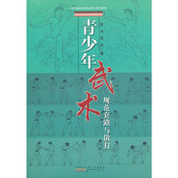 青少年武术规范套路与散打
