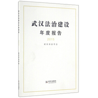 武汉法治建设年度报告（2015）
