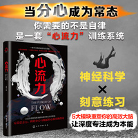 心流力