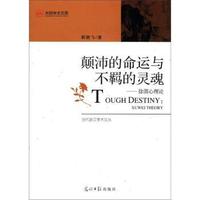 颠沛的命运与不羁的灵魂-徐渭心理论