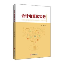 会计电算化实务
