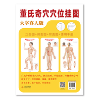 穴位图 挂图   董氏奇穴穴位挂图