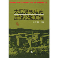 大亚湾核电站建设经验汇编（4）精装