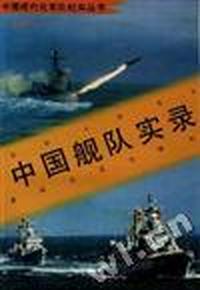 中国舰队实录