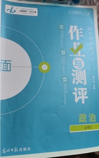 金版教程 高中新课程学习作业与测评  政治