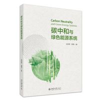 碳中和与绿色能源系统 北京大学出版社