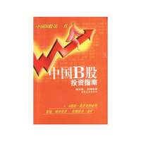 中国B股投资指南