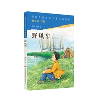 中国儿童文学名家自选书系·野风车