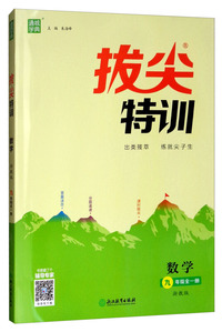 数学（九年级全一册 浙教版）/通城学典·拔尖特训