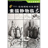 素描静物临本(附光盘结构明暗对比训练)(对比训练法)(附光盘)