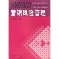 营销风险管理/风险管理博导丛书