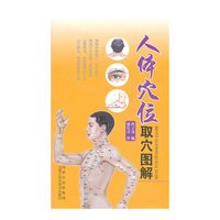 人体穴位取穴图解