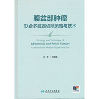 腹盆部肿瘤联合多脏器切除策略与技术