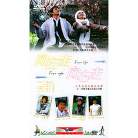 二十二集唯美都市爱情连续剧 向左走向右走8碟装(DVD)