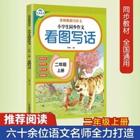 名师教我写作文小学生同步作文二年级上册看图写话二2年级人全国通用练习小学生作文书起步范文大全阅读理解上下册学期同步写作推荐