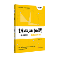 2025挑战压轴题 中考数学—强化训练篇
