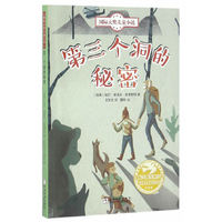 国际大奖儿童小说：第三个洞的秘密