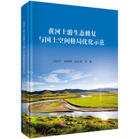 黄河上游生态修复与国土空间格局优化示范9787030802163许向宁科学出版社