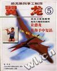 翼龙(5)