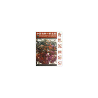 唐思源画葡萄-中国独树一帜名家